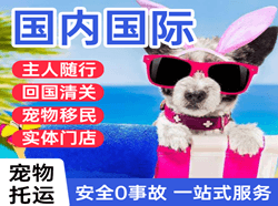 阿拉尔塔里木航空货运国际宠物托运 【国